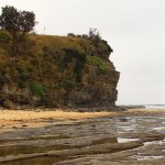 Abráziós terasz, Austinmer Beach